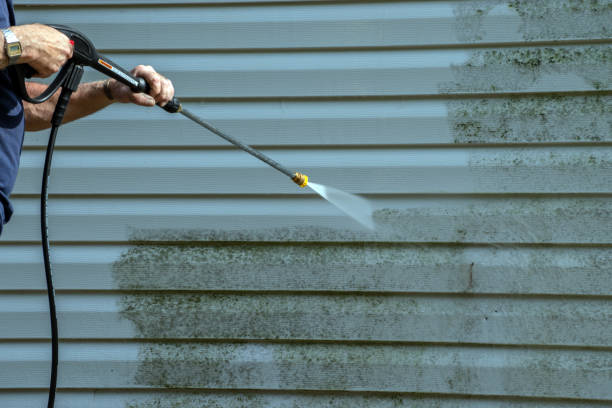 Best House Pressure Washing  in Gulfport, FL