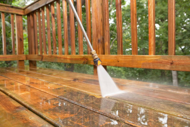Best Roof Pressure Washing  in Gulfport, FL