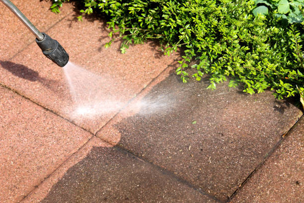 Best Pressure Washing Company Near Me  in Gulfport, FL